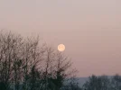 Mond.-kleinJPG.webp