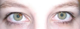 augen2.webp