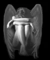 angel.webp